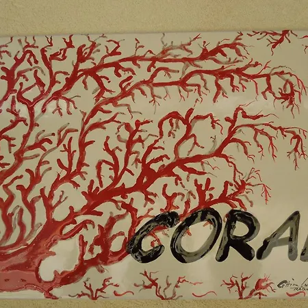 Coral * San Vito Lo Capo
